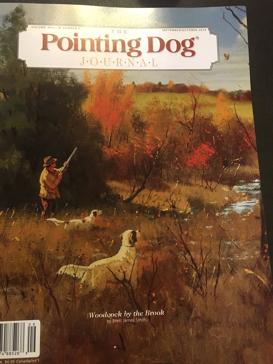 Jason Curtis tweet media