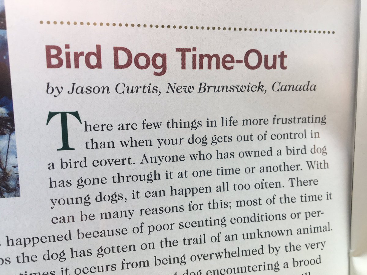 Jason Curtis tweet media