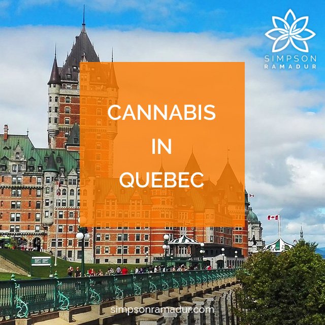 Simpson_Rick's tweet photo. Canada - Quebec grants residents right to cultivate cannabis at home. 🍁
Quebec Superior Court Justice Manon Lavoie ruled Tuesday the provincial law prohibiting Quebecers from growing cannabis for personal use is unconstitutional.
https://t.co/IK2jmL7XRU https://t.co/hYpZho9ed5