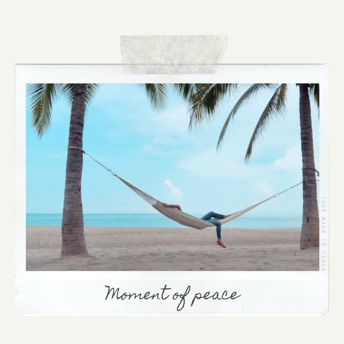 RaqCandy's tweet photo. A moment of peace 

#PuertoVallarta #worlife https://t.co/g14mayUzfh