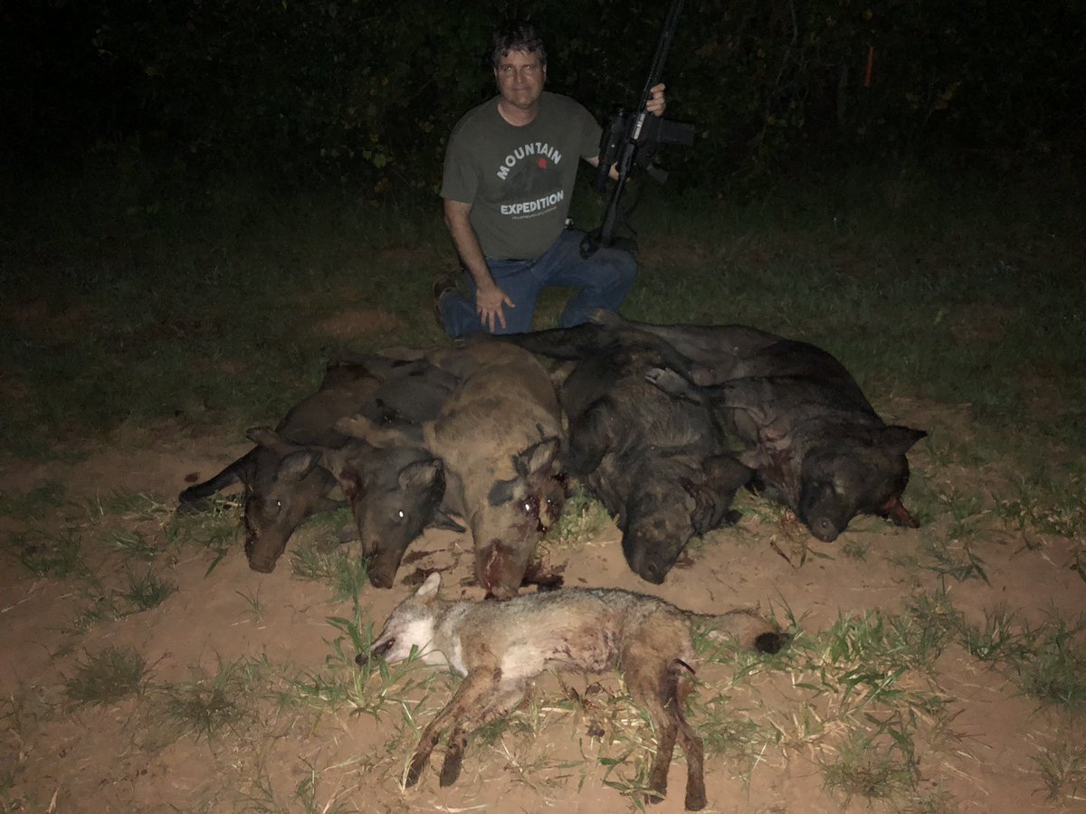 Southernhog's tweet photo. 5 more hog and a yote last night. #tuskcollector https://t.co/HPrsHMjEpf
