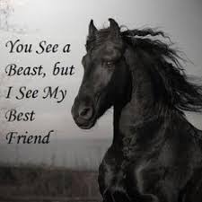 HorsesLove8's tweet photo. https://t.co/KV7si08Deg