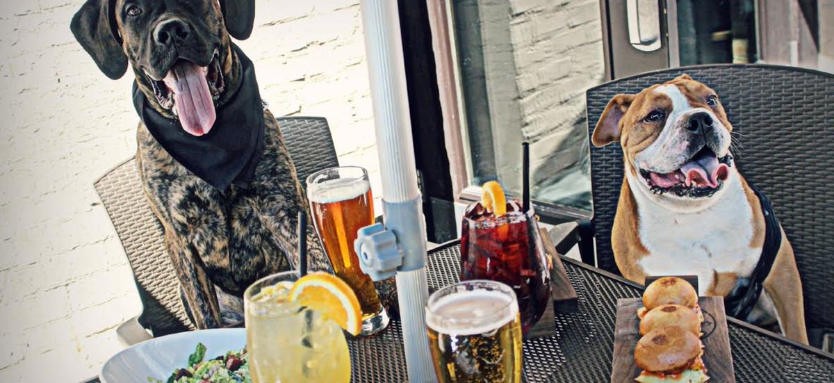 Discover #Chicago's best pet-friendly spots. #dogs #travel ow.ly/CkI150vFK9L