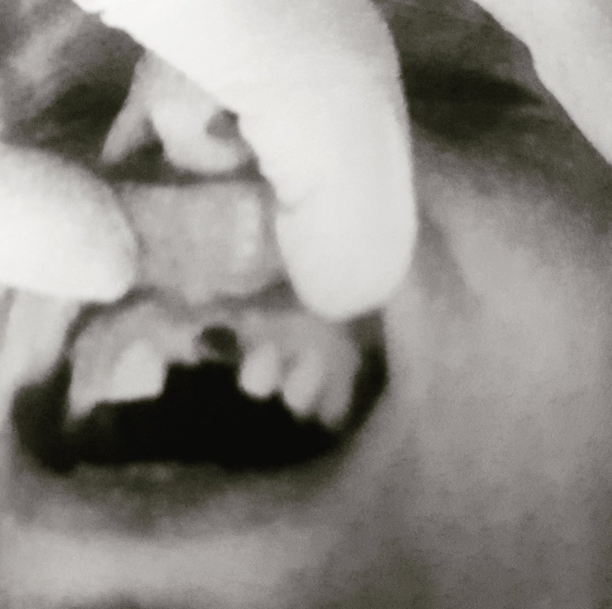 FreyaB_73's tweet photo. Had magical #Premiere of #TerminatedTeethTinder at Aardman
Film 'swipes' on to @c4randomacts online tomorrow (#seewhatididthere) #OlderWomen #OnlineDating #lookingforlove #gaptooth #teethfail #tinder #divorced #MILF #uglycow #experimentalfilm #movingimage #artfilm #triptych https://t.co/ZeNGa8WLJH