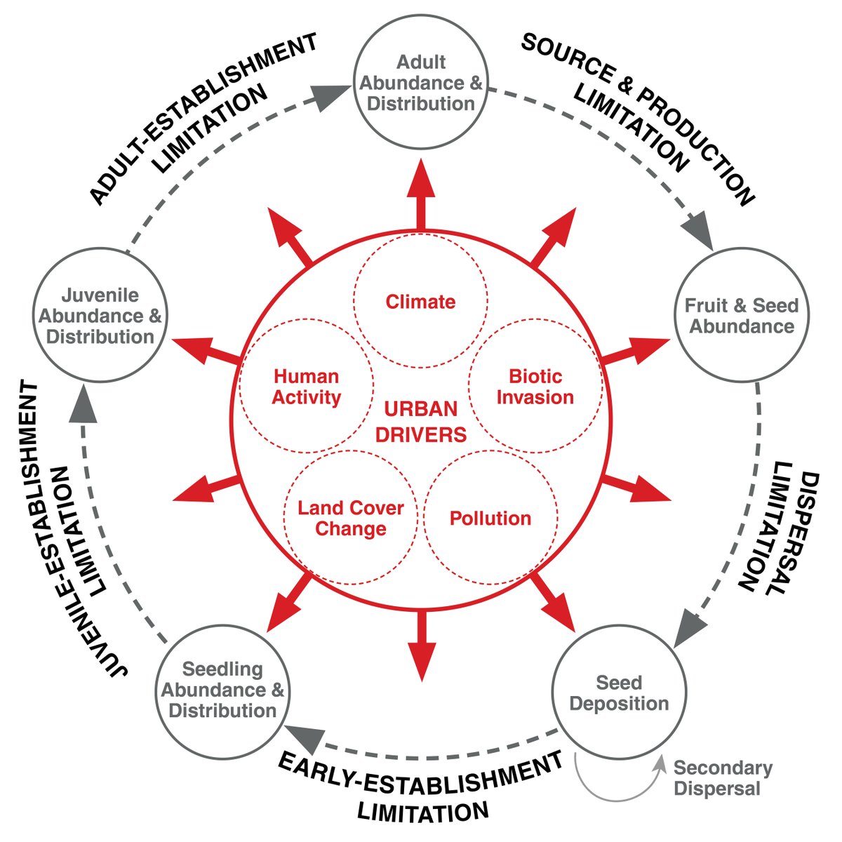 ESAFrontiers's tweet photo. A recruitment limitation framework for urban plants, from @MaxRPiana @MylaAronson @UrbanSteward & @snhandel: https://t.co/dtKUUCGoo9
#communityecology #populationecology #greenspace https://t.co/Eicl145oif