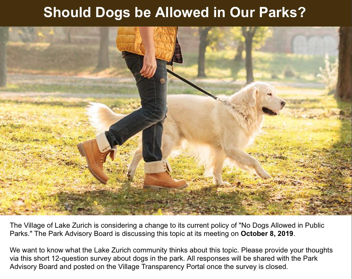 Are dogs allowed in parks