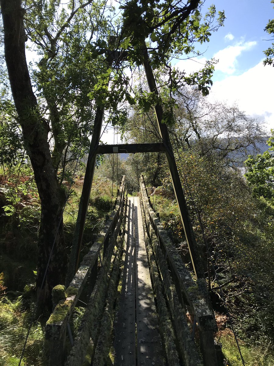 Coombestudios's tweet image. Cooking up plans with @CovePark then a quick dip in Lake Long #growingcreativity #swim