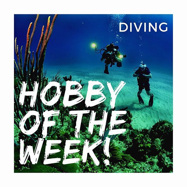 HobbiHub tweet media