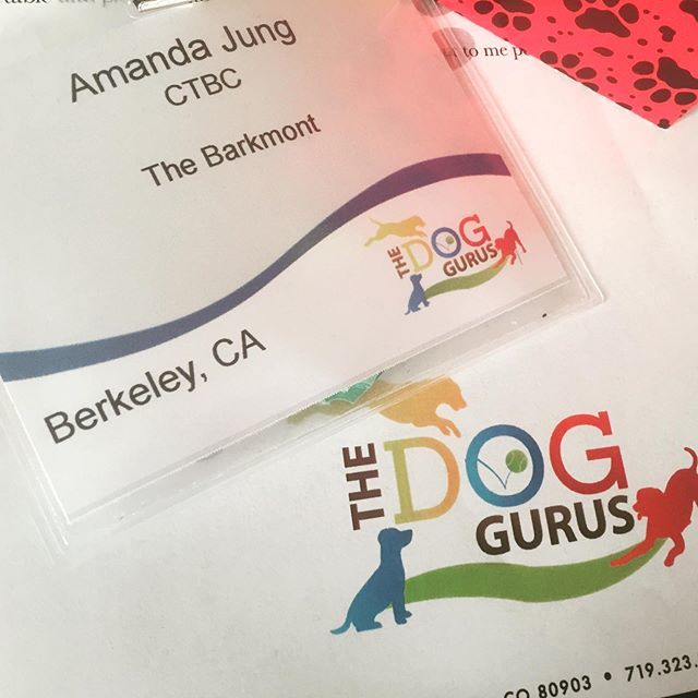 thebarkeley's tweet image. Day 2 of #TDGWorkshop!  Our team loves workshopping new ideas with those at the forefront of safe playgroups and expert modern dog daycare. 🐶💡❤️
.
.
.
#doggurus #thedoggurus #tdgworkshop #dogdaycare #dogdaycarelife #education ift.tt/2Ag6vao