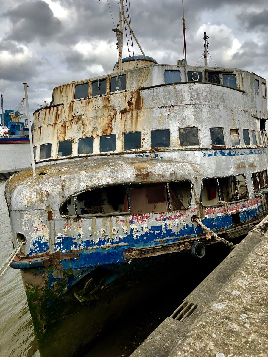 RiverLens's tweet image. Royal iris