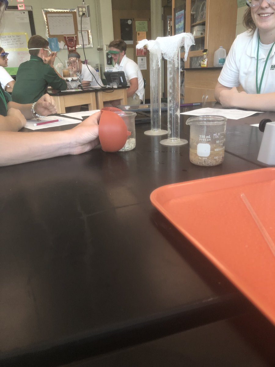 BadinBioBreetz's tweet photo. New AP Bio lab this year! Problem-based learning as the students figured out which type of meat is healthiest AND most cost-effective for a school cafeteria. @BadinHS https://t.co/FjFLCWdFJc