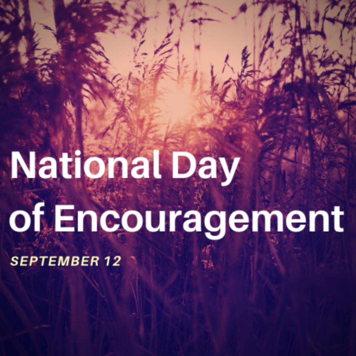 Big Sky Cafe tweet media