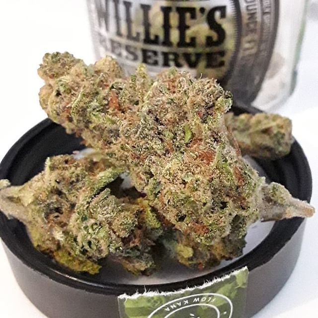 Mae_DayJ's tweet photo. Willie's Reserve Lemon Banana Sherbet
23.9% #THC
0.08% #CBD
@williesreserveofficial @kingsviewfarms #Hybrid #ChronicLoaf @releafapp #cannabisconsultant #medicalmarijuana #weedlife #smokeweedeveryday #SeshWithMe https://t.co/MQKZpVNIUS https://t.co/jJY4yXSucV