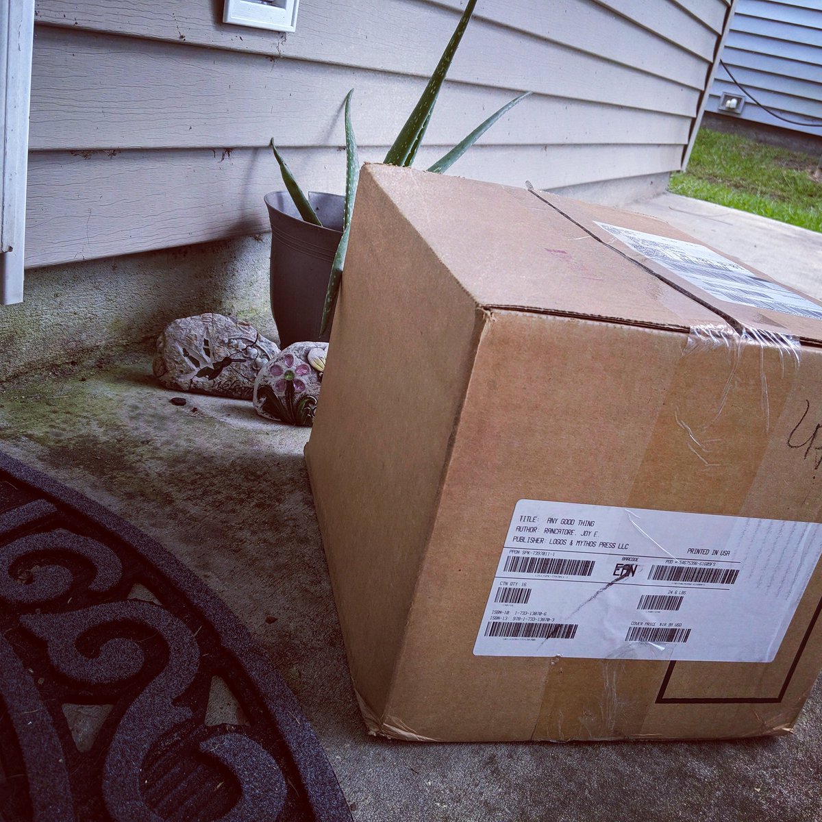 joyerancatore's tweet image. Whatever could be in that box?? 😜😍

#AnyGoodThing #IngramSparkAuthor #2019Debut #southernfiction #IndieAuthor #booksarebetter #LAMBookClub