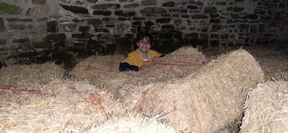 LwgSchool's tweet photo. Fun in the hay bale maze - having an absolute bale of a time!😅 https://t.co/a8sciUwA6Z