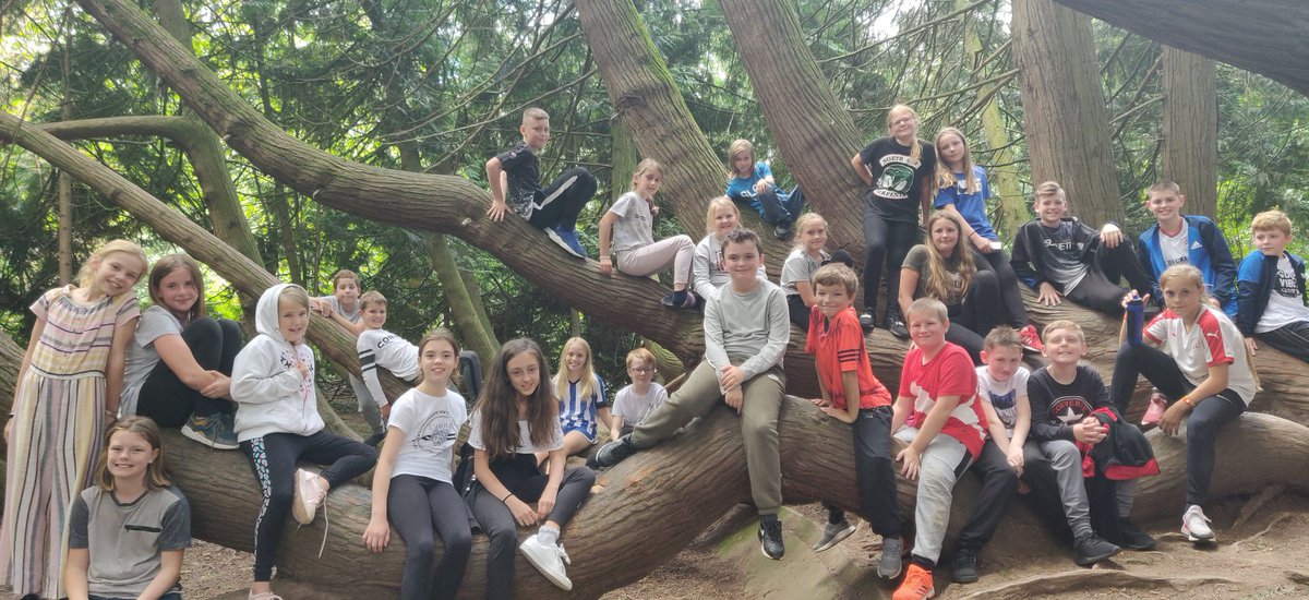 Carrfield Primary tweet media