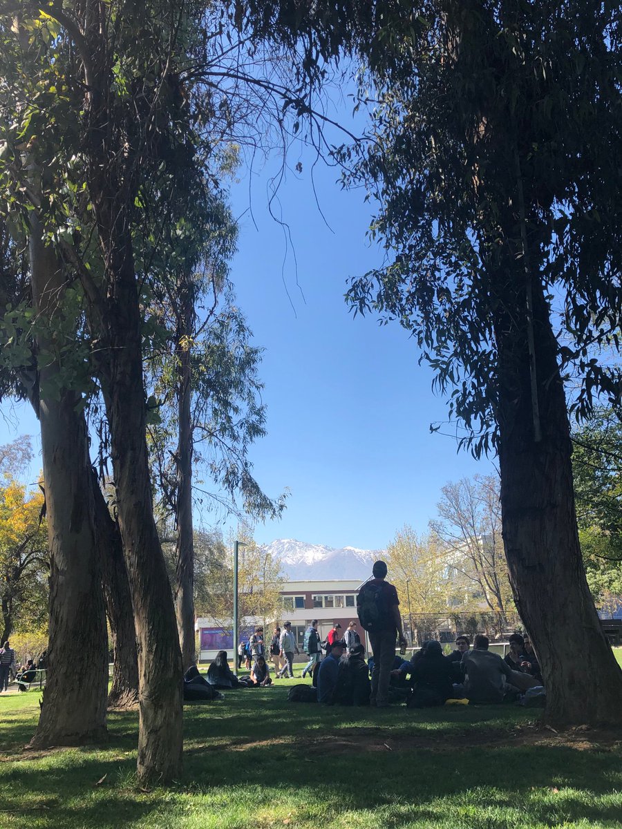 DanielBWiley8's tweet photo. lunch time ☀️🌿 https://t.co/JAJQgxHt4d