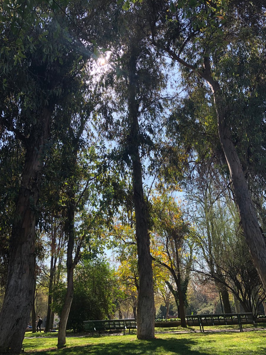 DanielBWiley8's tweet photo. lunch time ☀️🌿 https://t.co/JAJQgxHt4d