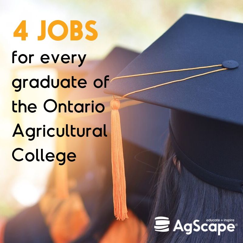 Whether your students decide to pursue college, university or trade school, there is a #career for them in #agriculture! We offer 75 agri-food career profile videos to help you inspire them about #AFutureInAG. Watch them at: growingcareers.ca/videos #CareersInAg #YourFutureInAg