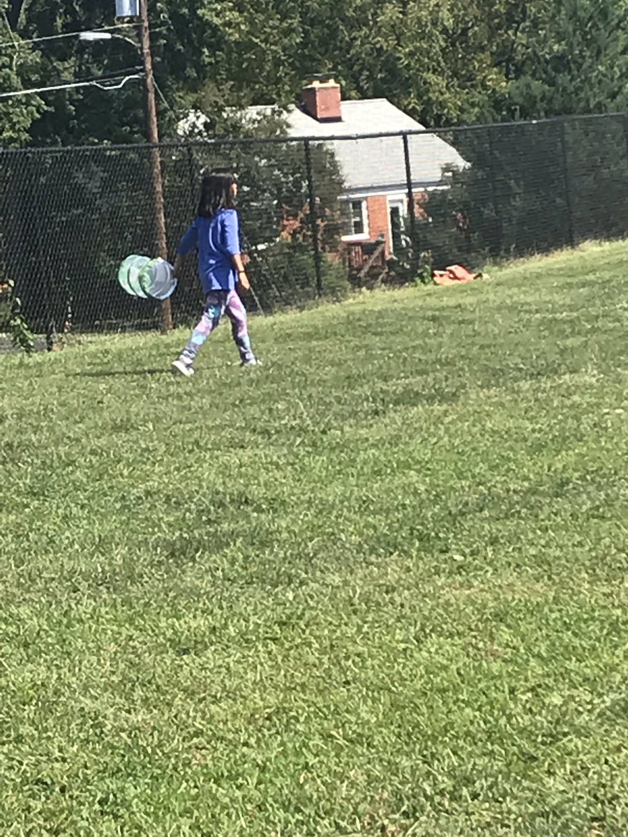 KanghaRoocrew's tweet photo. Today we explored the ‘big grass’ by looking for and chasing butterflies! #nature #usingourresources #otherpeoplematter @BTESNatalie https://t.co/SfA9S6UGUO