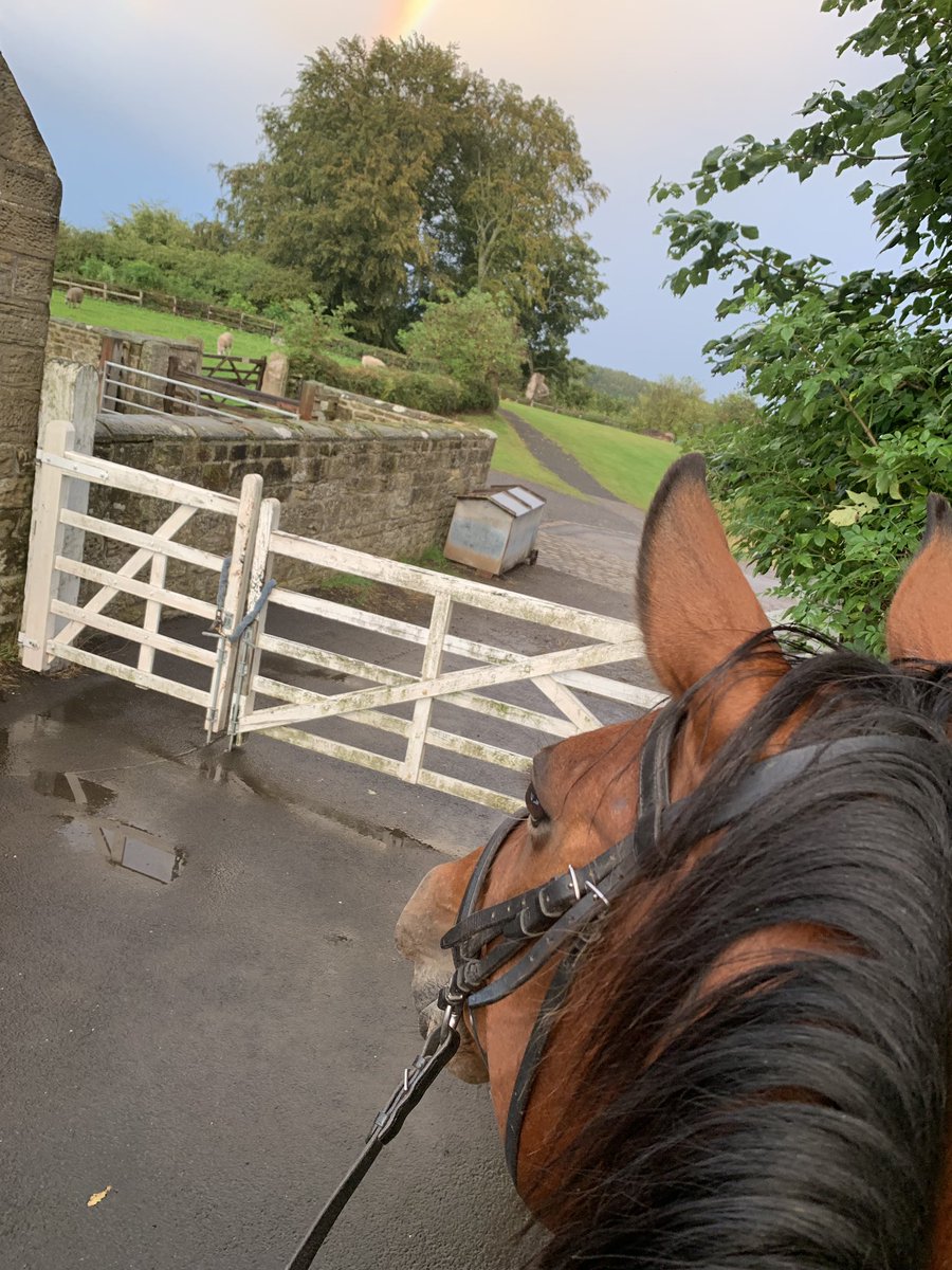 Julielsmall's tweet image. Crazy horse meeting the neighbours @Beamish_Museum 😳🐖🐑🐎#Durham #countryside