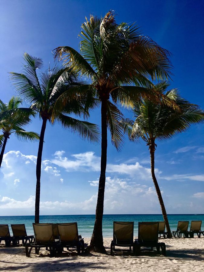 MarcoBeteta's tweet image. Del 8 al 15 de septiembre se realiza el Festival Gourmet Barceló, donde participan más de 10 reconocidos chefs. Maximiliano Sola y Alejandro Sánchez se encargaron de abrir con un maridaje en el restaurante Trattoria. #ComunidadMB #FestivalGourmetBarcelo #BarceloExperience