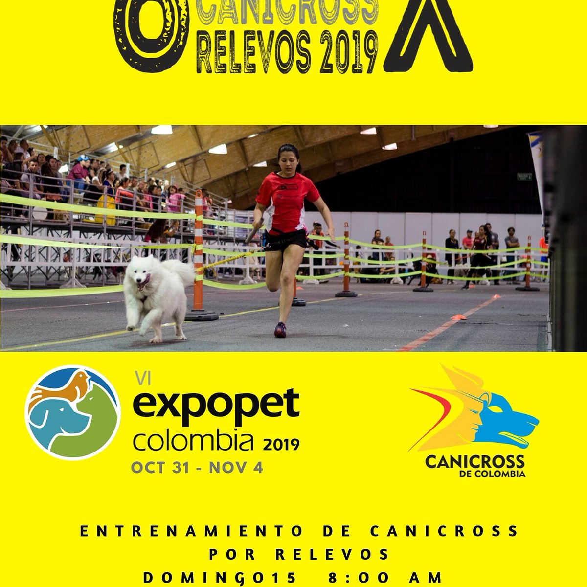 CanicrossDeCol's tweet photo. Preparando motores VI EXPOPET  2019 todo son bienvenidos este domingo 15 de septiembre 8:00 am Parque Simón Bolívar -  Busto de Bolívar.
Velocidad
Relevos  4 x 200
Descuentos
#puravelocidad #canicross #canicrossdecolombia #unidossomosmas #soypetlover #expopet #canicrosporrelevos https://t.co/ylgzjEuvur