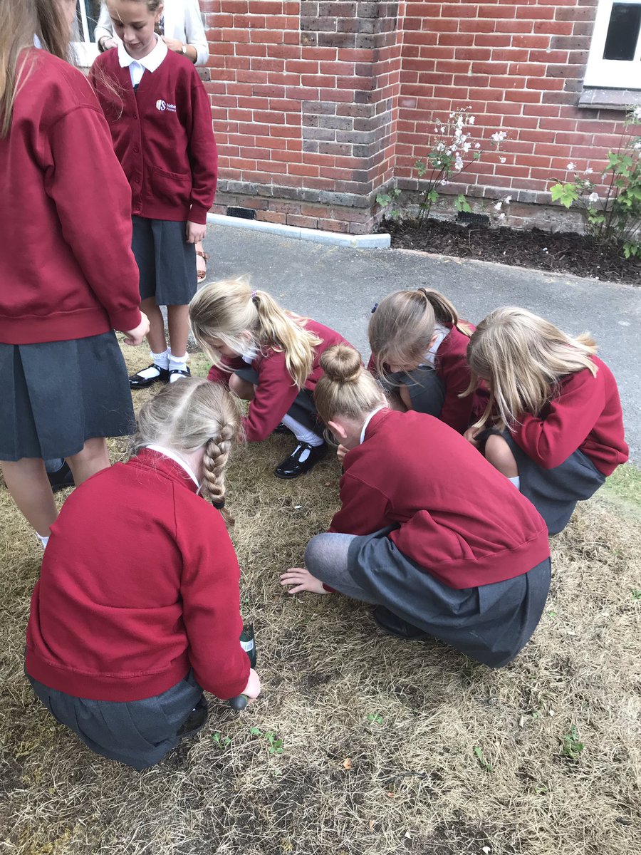 HalterworthPri's tweet photo. Bulb-planting the University of Winchester by our choir from Halterworth, Wellow &amp; Awbridge. We can’t wait to see the results next Spring! @_UoW @ioewinchester @AwbridgePrimary https://t.co/mGN25deBs7
