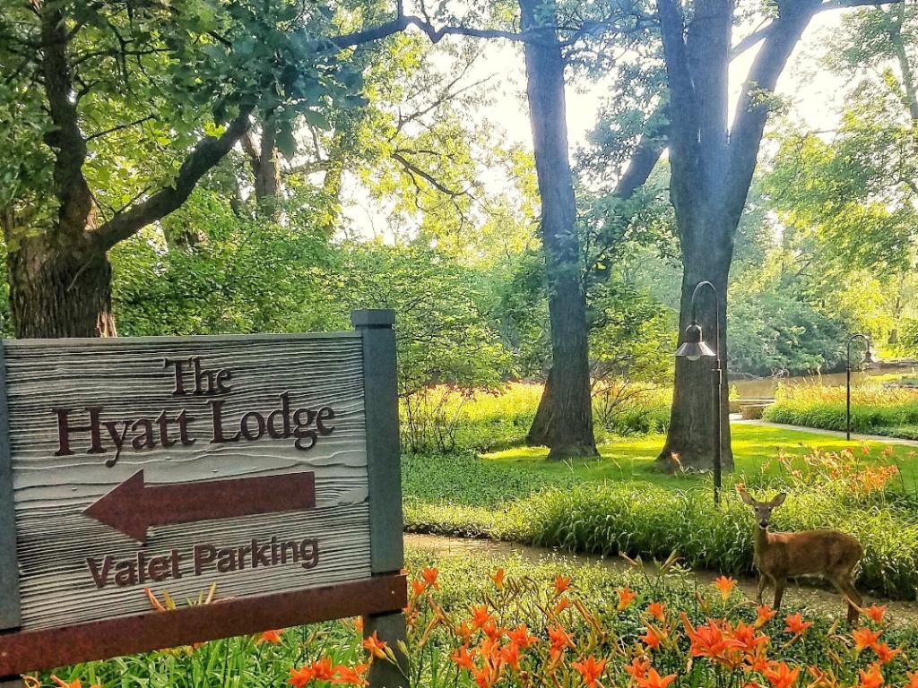 Enjoy the change of seasons at the Hyatt Lodge.  We have you covered for allergies in our Pure - Hypo-Allergenic Rooms.