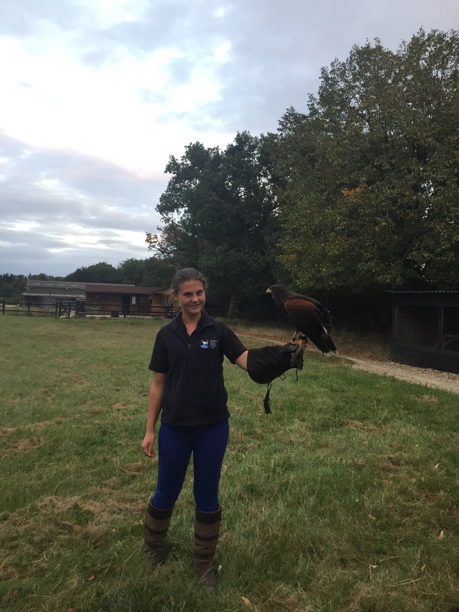 Abingdon YFC tweet media