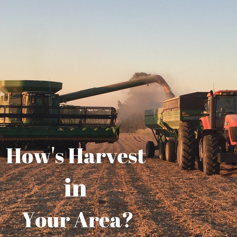 We want to hear from you!