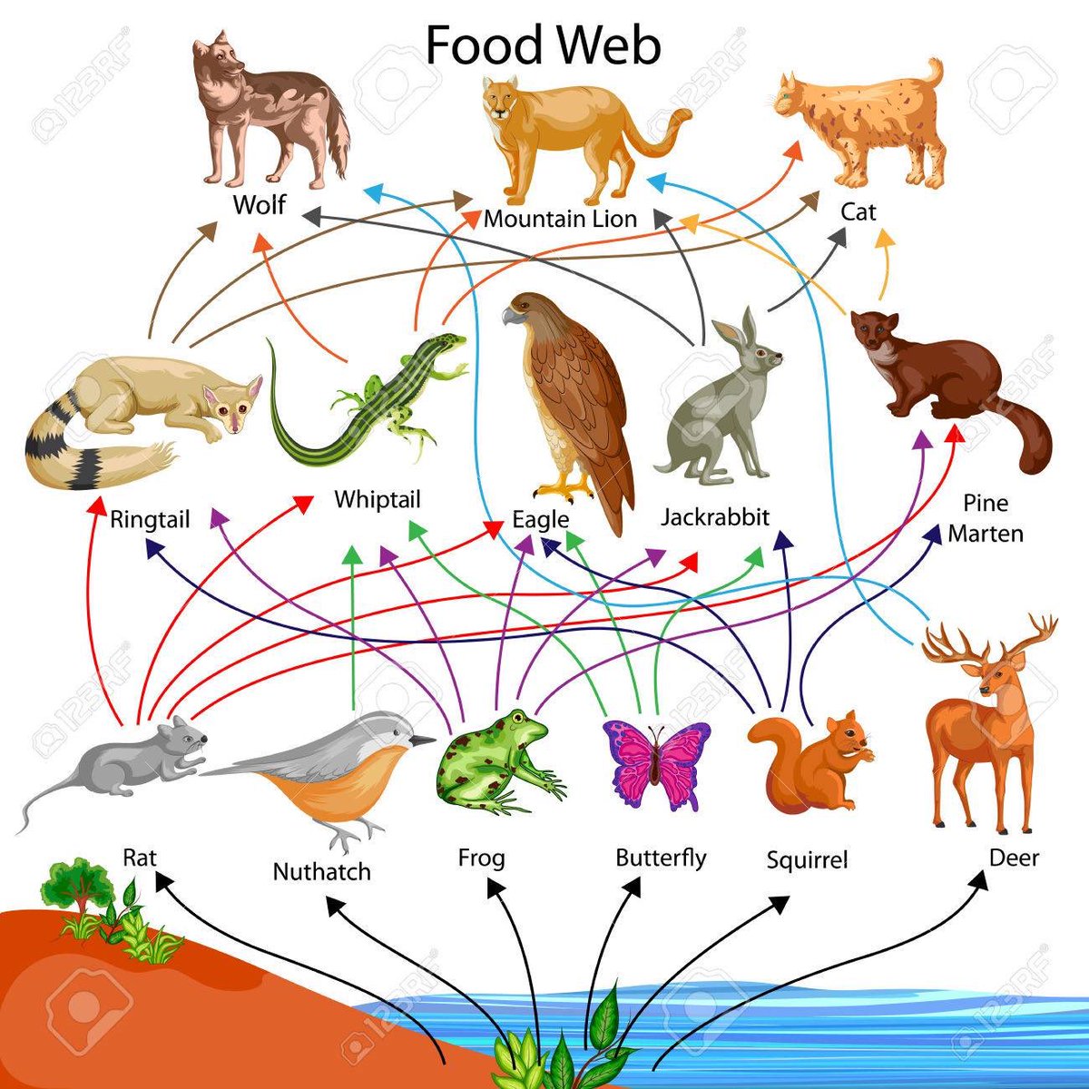 ilatif's tweet image. Nature’s food chain is well defined, the one on the higher pedestal is a #devourer of the one at the lower level is #devoured, the one being devoured is a devourer in a different setting, life is regrettably required to be sacrificed to sustain life.