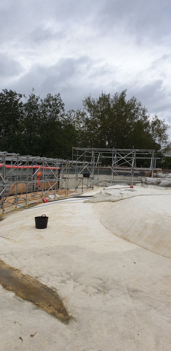 Gorilla_access's tweet photo. Weather protection progress 🐧👀🦍 https://t.co/aBEPpSWRrL