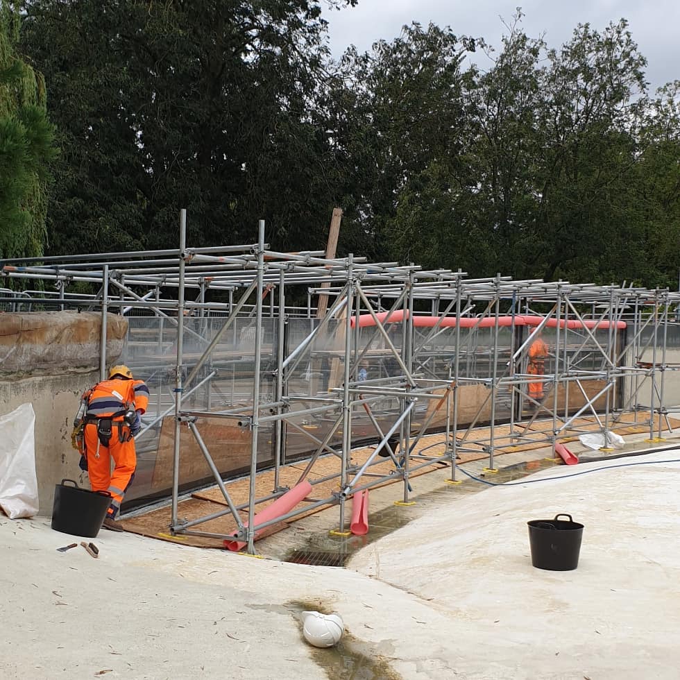 Gorilla_access's tweet photo. Weather protection progress 🐧👀🦍 https://t.co/aBEPpSWRrL