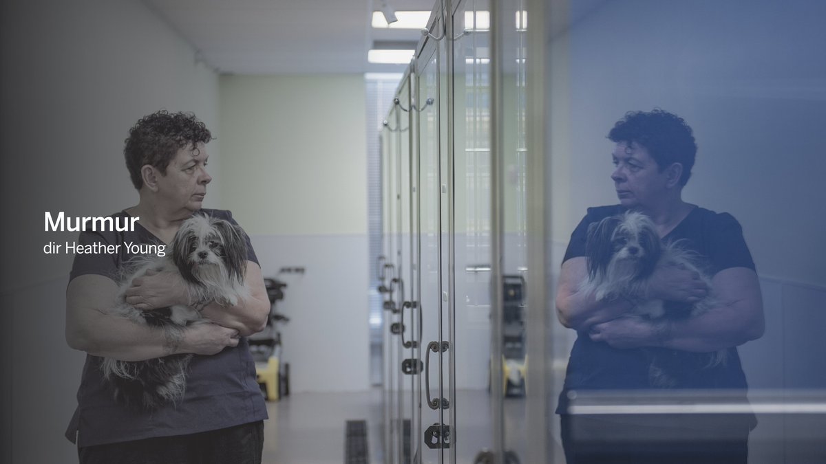 Announcing the FIPRESCI​ Prize for the Discovery Programme winner 🏆:

Heather Young's MURMUR #TIFF19