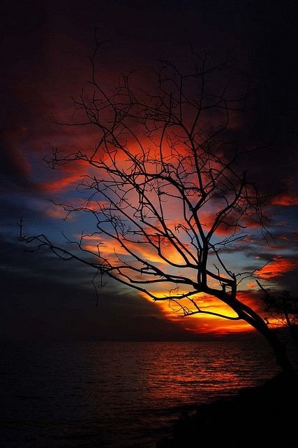 TommyAbdurahman's tweet photo. No matter how hard today was, tomorrow is another day ... https://t.co/yxdWGozE7y