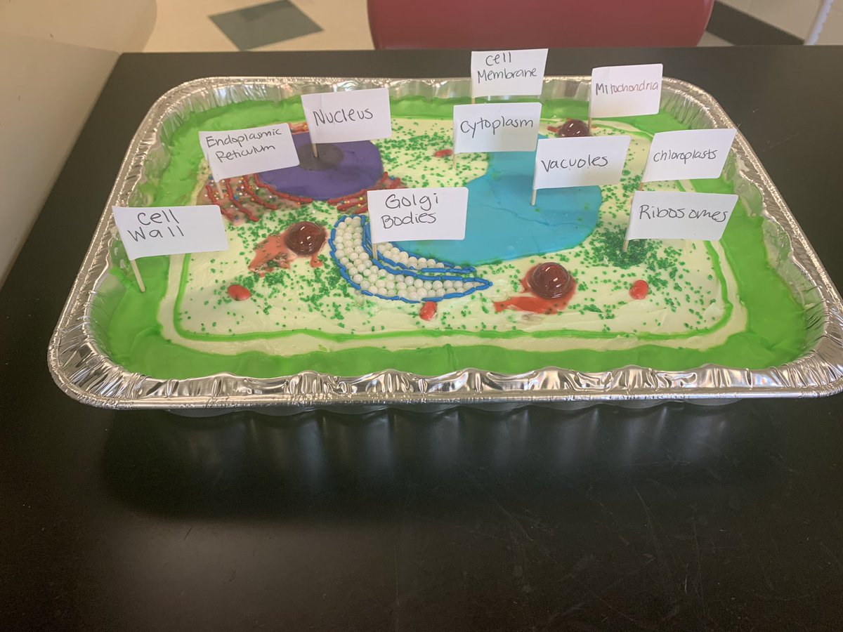 Students taking advantage of an optional alternative assessment in CP Biology by creating this edible plant cell! Yum! #WEareLakota #theEASTway