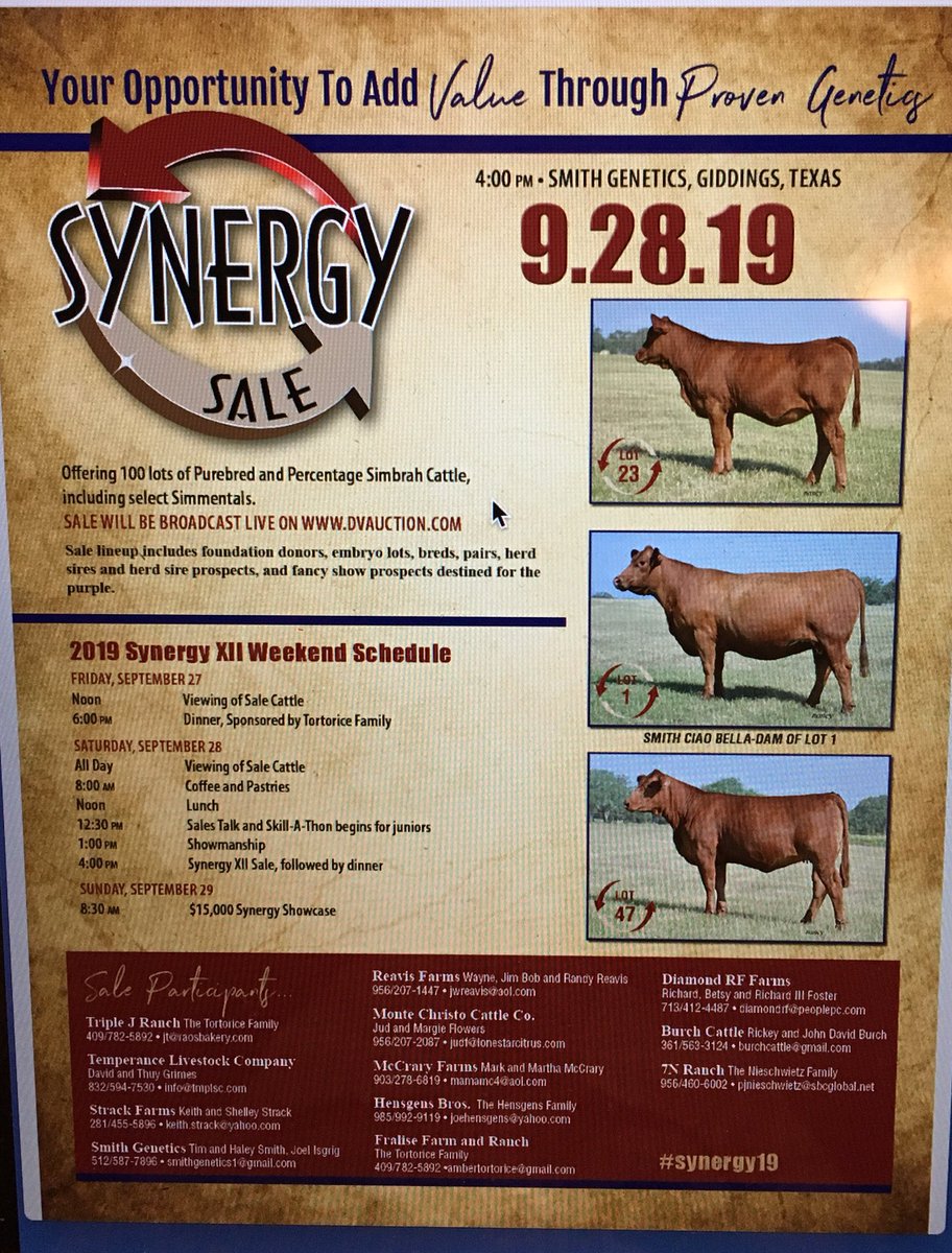 SmithGenetics's tweet image. Join us Sept 28 for our 12th Annual Synergy Sale. SimGenetics that will add value and proven genetics. Visit the event tab on our website smithgenetics.com