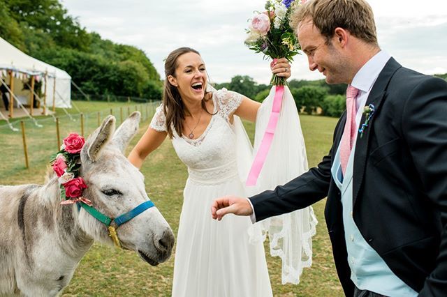 Donkeys wearing flower crowns, oh my! ****
Bramble and Milo very kindly shared their paddock on Sophie and Georges wedding day. ****
#weddingdonkey #weddingideas #weddinginspiration #weddinglove #hampshirewedding #gardenwedding #countrywedding #hampshire… ift.tt/2LuWHjm