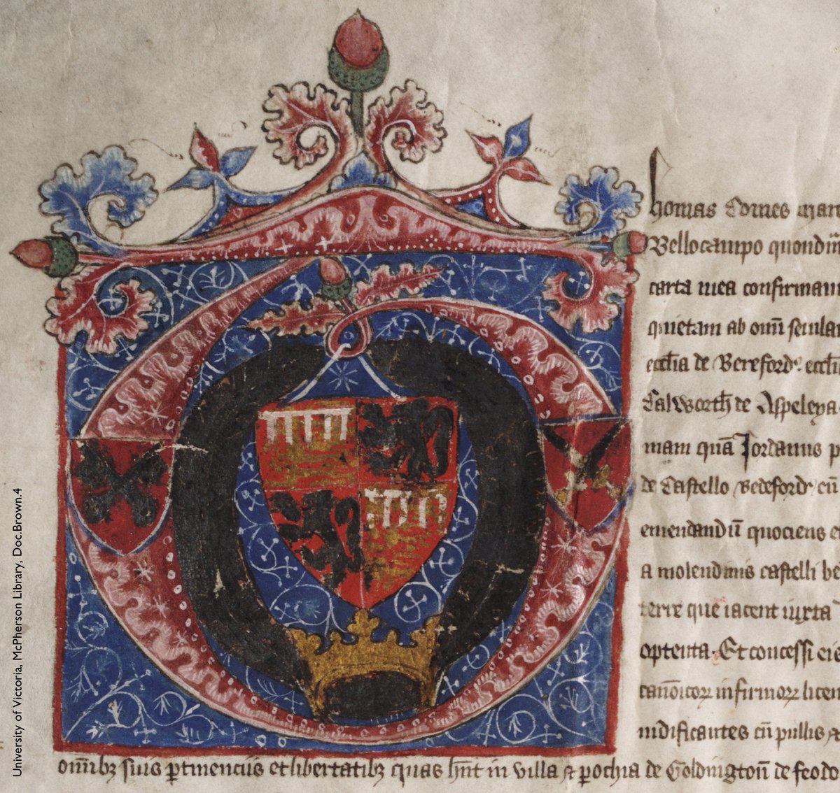 Photograph of part of a medieval charter showing a large initial T (for Thomas), elaborately decorated in colours and gold.