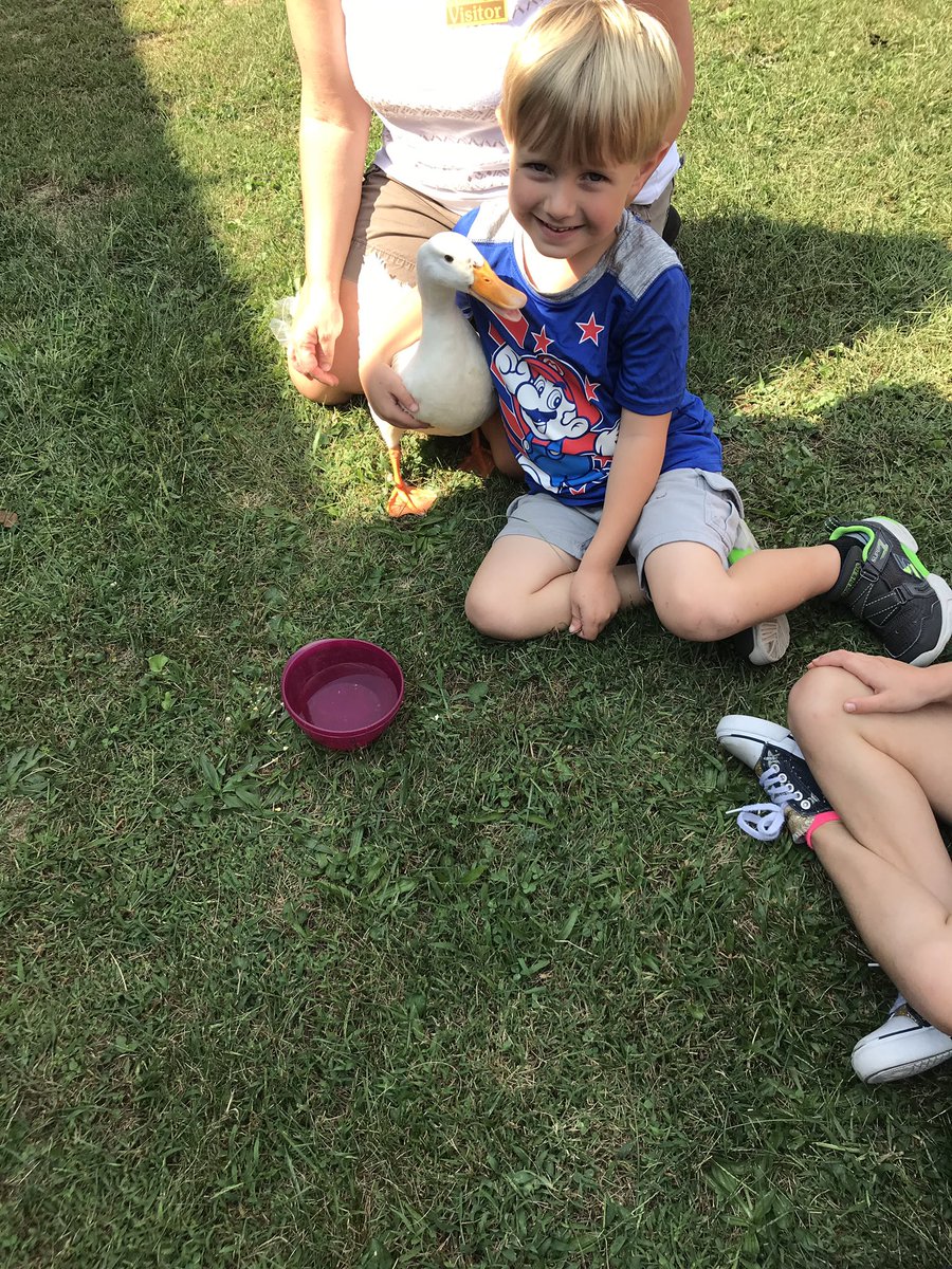 Mr. Quackers came to visit kindergarten for pet week!  #bathschoolsrock