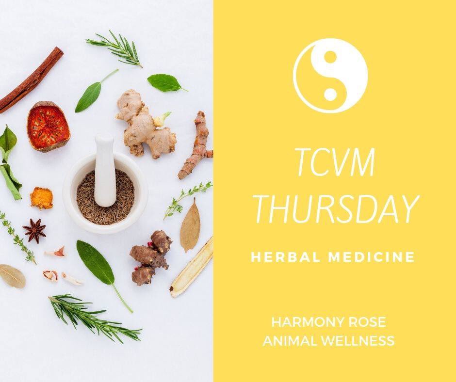 HarmonyRose_AW's tweet photo. TCVM THURSDAY ☯️
Chinese Herbal Medications 🌎 EARTH ELEMENT 🌎
🐾"Happy Earth" Stomach Cold
🐾"Jade Lady" Stomach Heat
🐾"Stomach Happy" Stomach Yin Deficiency
🐾"Eight Gentleman" Spleen Qi Deficiency
#TCVMTHURSDAY #TCVM #ChineseHerbalMedicine #harmonyroseanimalwellness https://t.co/6Ny3hQ5v87