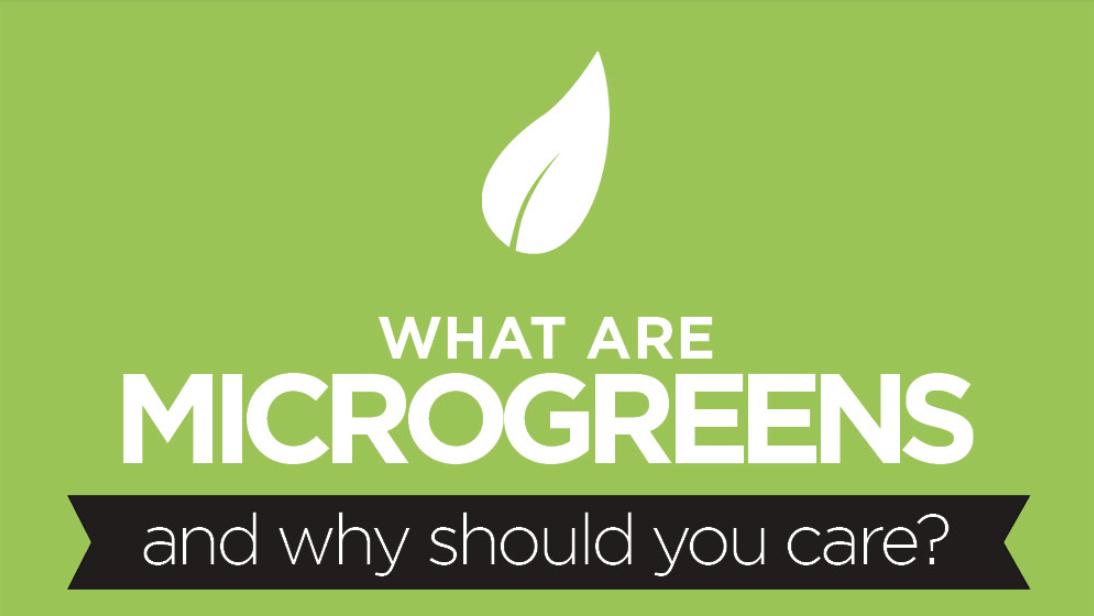 urbancultivator's tweet photo. Do you know what #microgreens are and why you should care? Here’s a handy little inforgraphic: https://t.co/nCrOWICJB5 https://t.co/t7odmsiinc