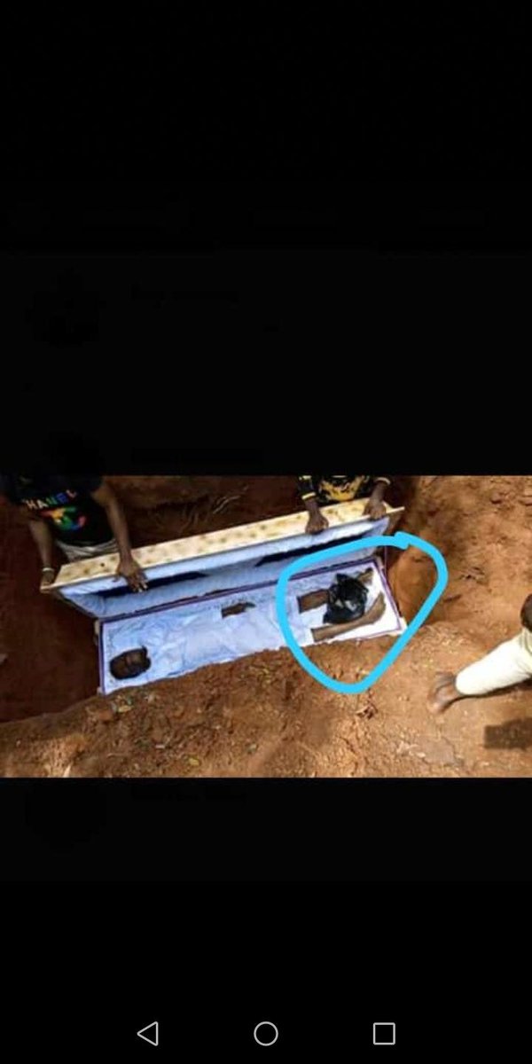 ‘Dapo Rolling Dollars🐺 tweet media