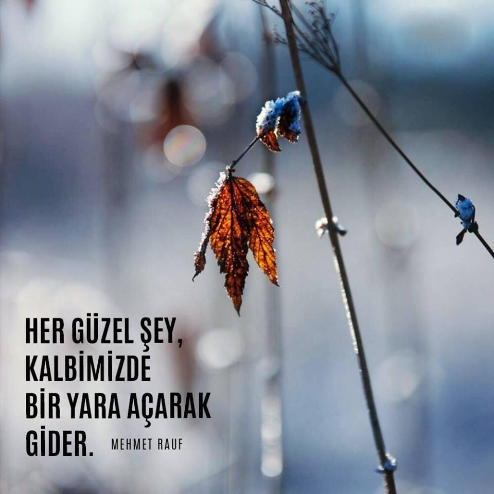 Her güzel şey,
Kalbimde bir yara açarak gider..
✏ #MehmetRauf