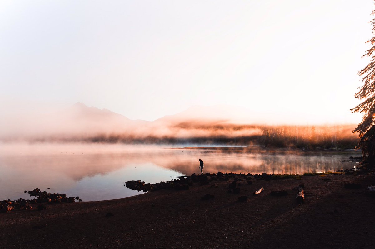 alexxhinson's tweet image. dreamworld