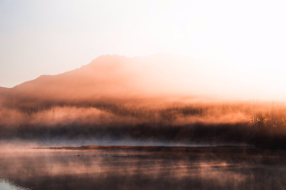 alexxhinson's tweet image. dreamworld