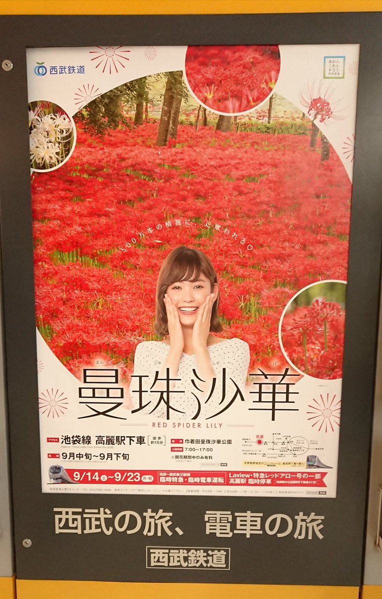 越智 亜紀子 A Twitter 西武鉄道の曼珠沙華のポスターに 桔梗 が使われてました