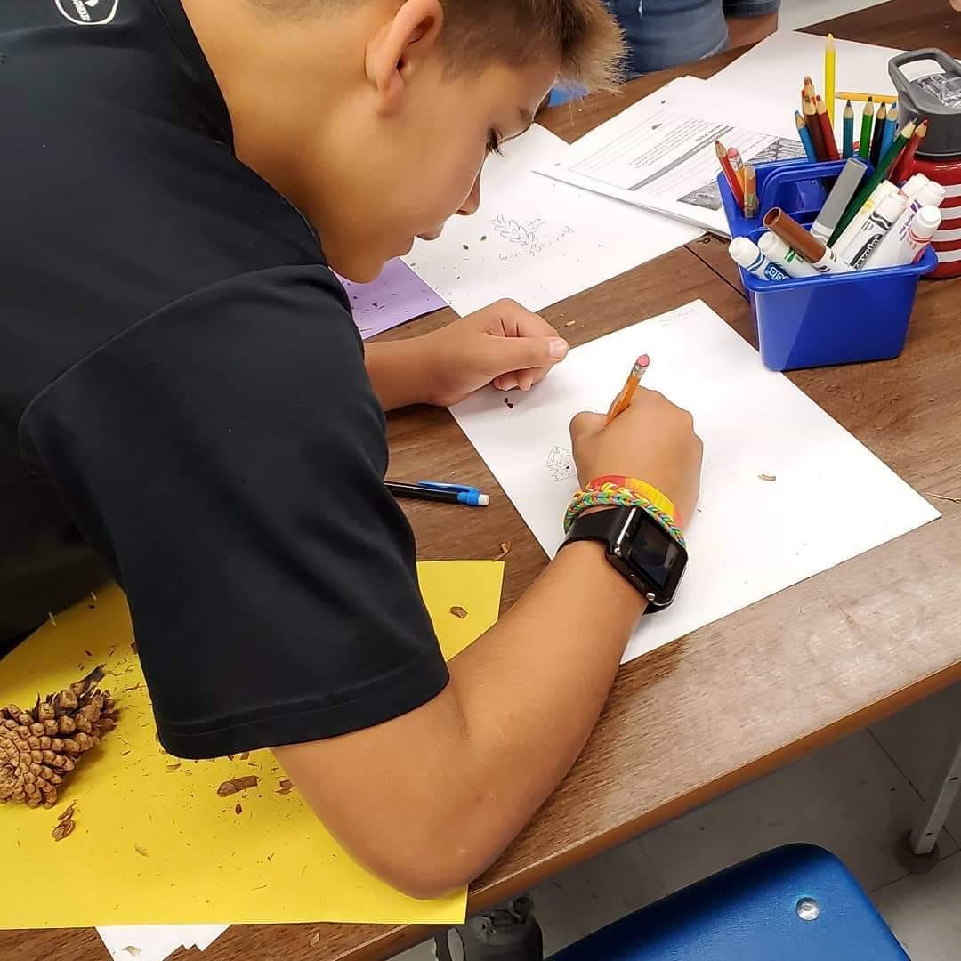 SedaliaMiddle's tweet photo. Science is so much fun! Students of SMS dissected pine cones as a hands on experiment for the HMH study of how the structure and function of plants and animals work together for pollination. Students were trying to determine if their cone was male or female. #scienceiscool https://t.co/8QwvFViAdo