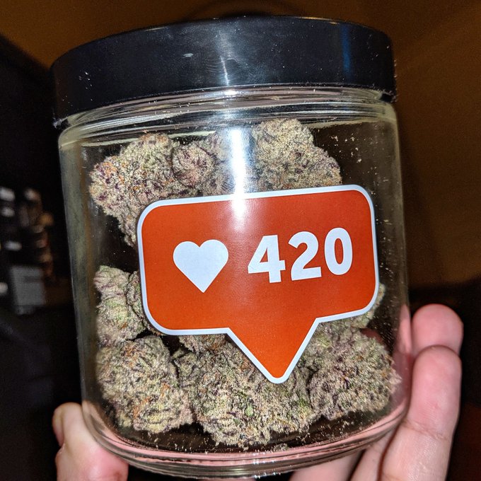 I'm simple. I see weed. I like that 💚 https://t.co/iVy3pwATS3<a href="/tag/santaclaratstheerastour"class="tags"><span>#santaclaratstheerastour</span></a>